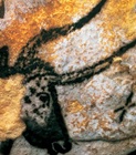 L'avatar di luke