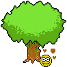 albero.gif
