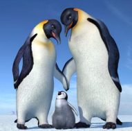 Nome:  happy2.jpg
Visto: 3077
Taglia:  8.7 KB