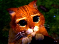 Nome:  gatto.jpg
Visto: 483
Taglia:  17.5 KB