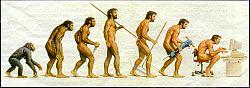 Clicca sull'immagine per ingrandirla

Nome:  evoluzione.jpg
Visite: 925
Dimensione:  40.9 KB