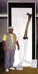 Clicca sull'immagine per ingrandirla

Nome:  gigante.jpg
Visite: 1437
Dimensione:  58.8 KB