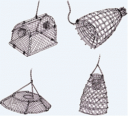 Clicca sull'immagine per ingrandirla

Nome:  retini.gif
Visite: 1598
Dimensione:  139.3 KB