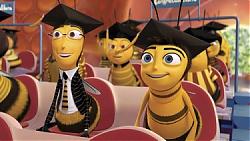 Clicca sull'immagine per ingrandirla

Nome:  bee2.jpg
Visite: 648
Dimensione:  29.1 KB