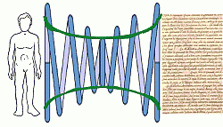 Clicca sull'immagine per ingrandirla

Nome:  focalizzamedita.gif
Visite: 734
Dimensione:  78.0 KB