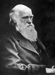 Clicca sull'immagine per ingrandirla

Nome:  darwin.jpg
Visite: 1637
Dimensione:  17.2 KB