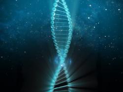 Clicca sull'immagine per ingrandirla

Nome:  dna.jpg
Visite: 1667
Dimensione:  43.4 KB