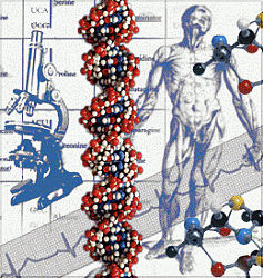Clicca sull'immagine per ingrandirla

Nome:  dna and skeleton.gif
Visite: 1557
Dimensione:  52.3 KB