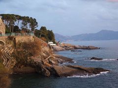 Nome:  nervi.jpg
Visto: 626
Taglia:  9.4 KB