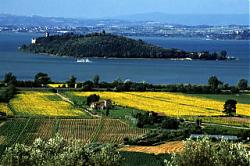 Clicca sull'immagine per ingrandirla

Nome:  trasimeno.jpg
Visite: 832
Dimensione:  23.2 KB