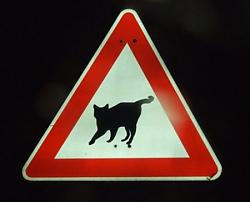 Clicca sull'immagine per ingrandirla

Nome:  Gatto_nero_stop.jpg
Visite: 1593
Dimensione:  17.5 KB