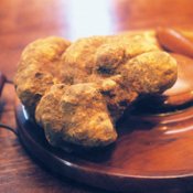 Nome:  tartufo_alba.jpg
Visto: 258
Taglia:  7.7 KB