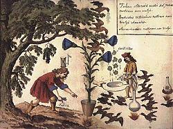 Clicca sull'immagine per ingrandirla

Nome:  cabmin01.jpg
Visite: 1261
Dimensione:  49.7 KB