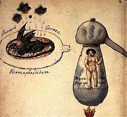 Clicca sull'immagine per ingrandirla

Nome:  cabmin02.jpg
Visite: 1309
Dimensione:  25.3 KB