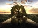 Nome:  albero.jpeg
Visto: 326
Taglia:  2.9 KB