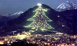Clicca sull'immagine per ingrandirla

Nome:  albero_natale_Gubbio.jpg
Visite: 12538
Dimensione:  61.1 KB