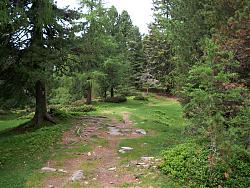 Clicca sull'immagine per ingrandirla

Nome:  bosco ermopoli.jpg
Visite: 1565
Dimensione:  183.3 KB