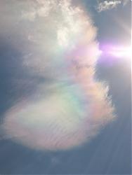 Clicca sull'immagine per ingrandirla
Nome: haarp 2 ermo.jpg
Visite: 1239
Dimensione: 21.2 KB