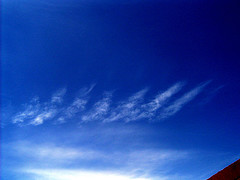 Nome: 131764506_a2459e092a_m.jpg
Visto: 1898
Taglia: 13.1 KB