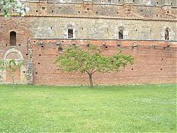 Clicca sull'immagine per ingrandirla

Nome:  DSCF0015.jpg
Visite: 1508
Dimensione:  212.3 KB
