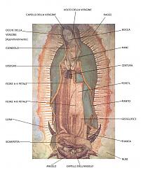 Clicca sull'immagine per ingrandirla

Nome:  _GUADALUPE.jpg
Visite: 2106
Dimensione:  58.8 KB
