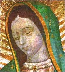 Nome:  viso.jpeg
Visto: 2253
Taglia:  14.2 KB