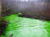 Nome:  river.jpg
Visto: 2354
Taglia:  41.8 KB