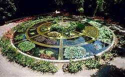 Clicca sull'immagine per ingrandirla

Nome:  ortobotanico-palermo.jpg
Visite: 3193
Dimensione:  48.8 KB