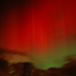 Nome:  Aurora4-150x150.jpg
Visto: 4062
Taglia:  3.3 KB