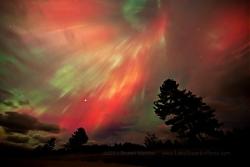 Clicca sull'immagine per ingrandirla

Nome:  Aurora-300x200.jpg
Visite: 2870
Dimensione:  11.4 KB