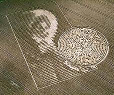 Nome:  HL_T4_cropalien.jpg
Visto: 931
Taglia:  17.0 KB