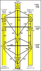 Clicca sull'immagine per ingrandirla

Nome:  albero.jpg
Visite: 598
Dimensione:  32.8 KB