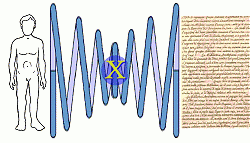 Clicca sull'immagine per ingrandirla
Nome: focalizza.gif
Visite: 732
Dimensione: 98.5 KB