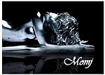 L'avatar di momj