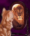 L'avatar di Lion